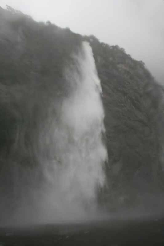 Nieuw-Zeeland 2011 - 1698